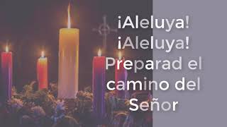 ALELUYA DE ADVIENTO [upl. by Arand]