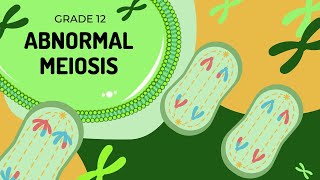 Abnormal Meiosis  Nondisjunction and the formation of Down syndrome [upl. by Quackenbush]