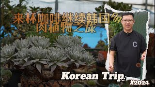 Grab a Cup of Coffee amp Continue Our Succulent Journey in Korea 栗子成熟了咖啡买好了继续我们的多肉探索之旅 [upl. by Yorick]