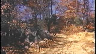 Ahrens Fox amp Chilson Video  Fire In The Woods [upl. by Mayes747]