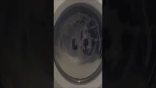 Currys Essentials Washing Machine Drum Clean Part 1 [upl. by Rik352]