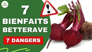 BETTERAVE  SES BIENFAITS ET DANGERS POUR LA SANTE Peau cheveux cancer troubles digestifs etc [upl. by Scutt96]