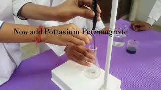 ChemistryPracticalTitration Mohrs saltKMnO4 Class 12Important Practical for CBSE [upl. by Zeiger]