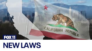 New California laws that take effect July 1 2024 [upl. by Gavette314]