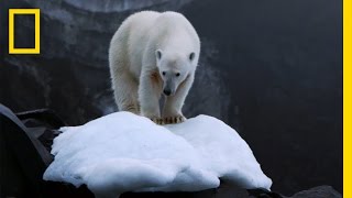 Climate Change Impacts All of Us But Theres Hope  National Geographic [upl. by Aihsined]