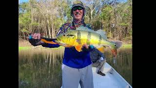 A beautiful Peacock Bass Açu caught in our exclusive waters in Brazil [upl. by Also232]