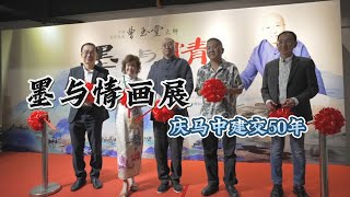 光华携手中国国家一级美术师曹玉堂【墨与情画展 庆马中建交50年 】 [upl. by Ledda]