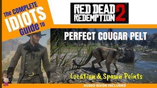 Perfect Cougar Pelt  Spawn Locations and Audio Guide  Idiots Guide to RDR2 [upl. by Blaire]