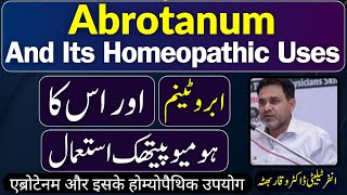 Abrotanum ابروٹینم एब्रोटेनम and its Homeopathic Uses by Dr Waqar Bhutta in Urdu  Hindi [upl. by Einhoj254]