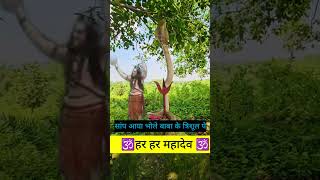 ॐ नमः शिवाय 🙏 । mahadev snake snakevideo shorts viralvideo trending youtubeshorts facts [upl. by Nirehtak]