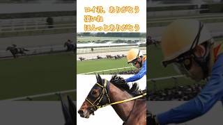 テーオーロイヤルと菱田裕二〜愛が溢れる20年越しの夢 競馬 天皇賞春 [upl. by Akire]