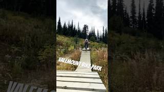 New video on my channel \ Valemount Bike Park liam mtb mountainbikejumps aktivitäten jumppark [upl. by Assirehc]