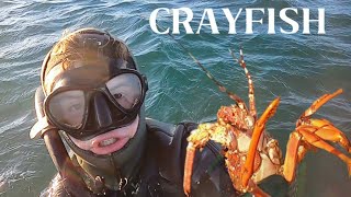 EPIC CRAYFISH ADVENTURE  Port elizabeth South Africa [upl. by Gnep60]