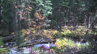 Along the Trail to Lava Lake [upl. by Allehcram]