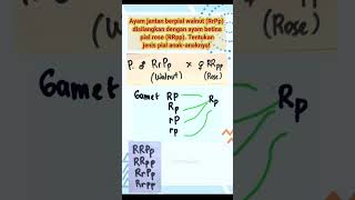 Latihan soal atavisme kelas 12 [upl. by Asil]