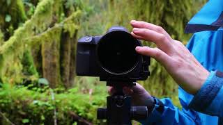 How to Use a Polarized Filter in Landscape Photography [upl. by Nitas]