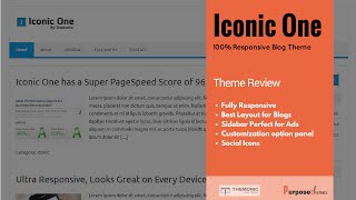 Iconic One  Free WordPress Theme Review [upl. by Andy]