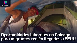 El anhelo de migrantes recién llegados por un trabajo ¿qué oportunidades hay para ellos en Chicago [upl. by Akimik]