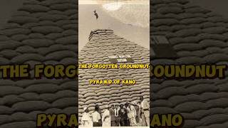 Groundnut Made Nigeria Rich In The Pastfacts history pyramids groundnut viralvideoshorts [upl. by Nomal]