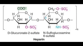 Heparin blood anticoagulant Blood Thinner made from Dog Liver [upl. by Tnattirb]