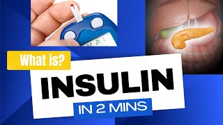 Insulin  How insulin works in 2mins [upl. by Crary836]