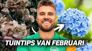 TUINTIPS voor FEBRUARI  Hortensia snoeien Haag plaatsen amp Meer [upl. by Esidnak]