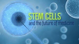 Stem Cells and the Future of Medicine  Research on Aging [upl. by Aara58]