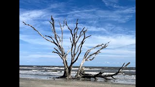 Botany Bay the Boneyard Beach [upl. by Ibba]