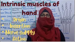 Intrinsic muscles of hand  origin insertion nerve supply and action  ayesha medical education [upl. by Swirsky799]