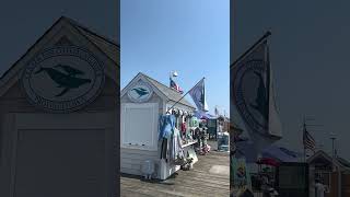 Provincetown Cape cod provincetown capecod travel [upl. by Anerehs]