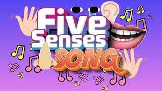 🎼🎶FIVE SENSES 🎶SONG🎶 [upl. by Giliane48]