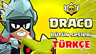 DRACO BÜTÜN SESLERİ TÜRKÇE ANLAMI  Brawl Stars mutations [upl. by Meghann]