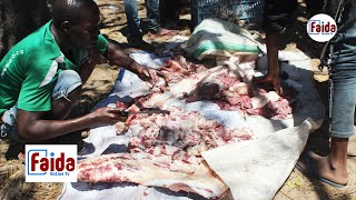 NYANGUMI AVULIWA MTWARA WANANCHI WAGAWANA NYAMA [upl. by Eenwat]