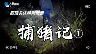 野豬“泛濫”傷人毀田 護農隊連夜出擊驅趕 [upl. by Sirrah741]