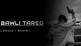 Bawli Tared  Slowed Reverb  Sumit Goswami viral music trending attitude [upl. by Irallih]