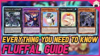 How to play Fluffals Beginner Combo Guide YuGiOh Master Duel [upl. by Ennaxxor753]