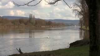 Sur les bords de la Moselle à BechKleinmacher LU ◦☼◦ [upl. by Icram]