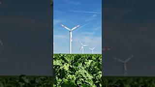 How does wind turbines generate electricity science facts [upl. by Enidualc596]