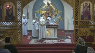 St Maurice Coptic Orthodox Church Live [upl. by Eilah]