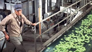 Soylent Green  Full Movie  Story Explain  Charlton Heston  Edward G RobinsonLeigh TaylorYoung [upl. by Simon877]