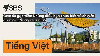 Cơm áo gạo tiền Những điều bạn chưa biết về chuyên gia môi giới vay mua nhà  SBS Vietnamese [upl. by Ardisi403]