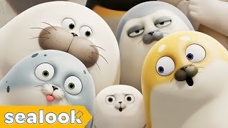 SEALOOK ⭐FULL EPISODES⭐ㅣSEALOOKㅣ90MIN Episodes Compilation [upl. by Gulick]