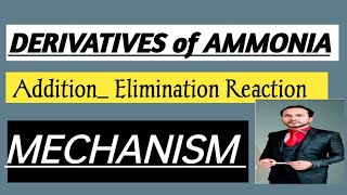 DERIVATIVE OF AMMONIA Addition of Hydroxylamine HYDRAZINE PHENYLHYDRAZINE 24DNPH MECHANISM CNG [upl. by Lenzi297]