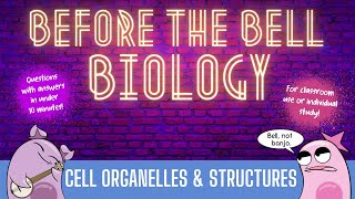 Cell Organelles amp Structures Before the Bell Biology [upl. by Nuoras659]