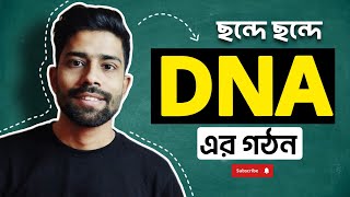 How to draw DNA structure easily  ডিএনএ এর গঠন। Figureschool [upl. by Akirej]