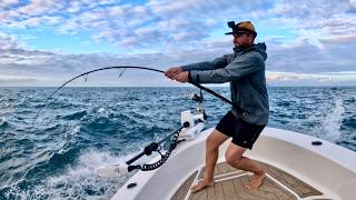 Fishing An Uninhabited Coastline [upl. by Giacobo]