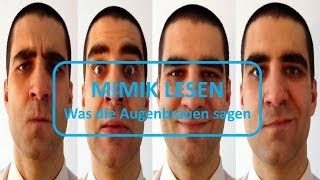 Mimik Lesen Lernen  Was die Augenbrauen sagen [upl. by Gabbert889]