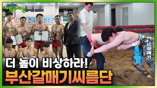 더 높이 비상하라 부산갈매기씨름단 💪  KBS 241114 방송 [upl. by Nevi]