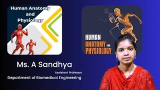 Human Anatomy and Physiology  Course Overview by Ms A Sandhya [upl. by Ruprecht897]