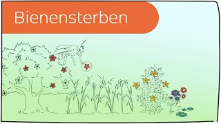 Bienensterben in 3 Minuten erklärt [upl. by Corrinne]